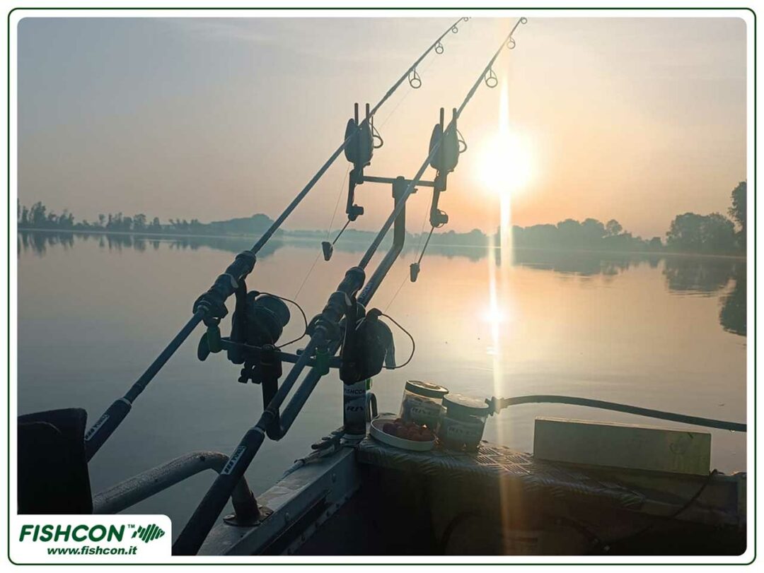 Fishcon Rod Pods – Stabile Rutenhalter für Karpfenangler