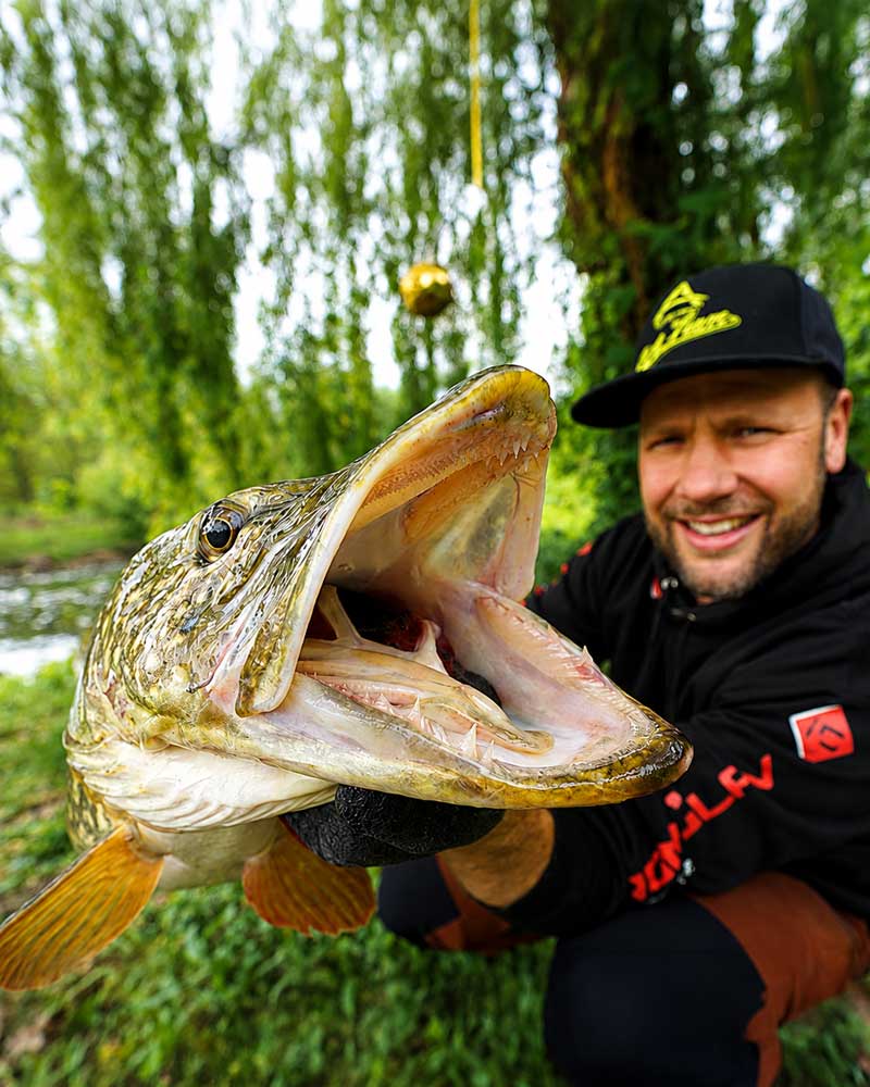 Barsch Motiv für Raubfischangeln, Welsangeln, Aussteller und Marken auf der Carp Austria 2026 Fischerei Messe