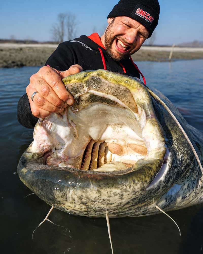 Uni Cat Welsangeln Song 2 Meter Plus von AJ King auf der Carp Austria Angelmesse