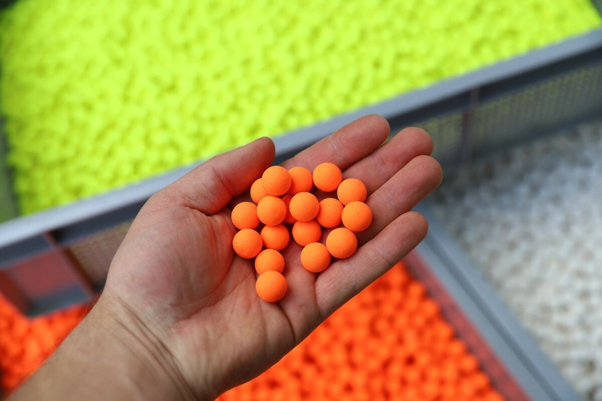 Izbor mamaca za šarana s boilama, peletama, partiklovima, liquidima i hookbait mamcima na Carp Austria
