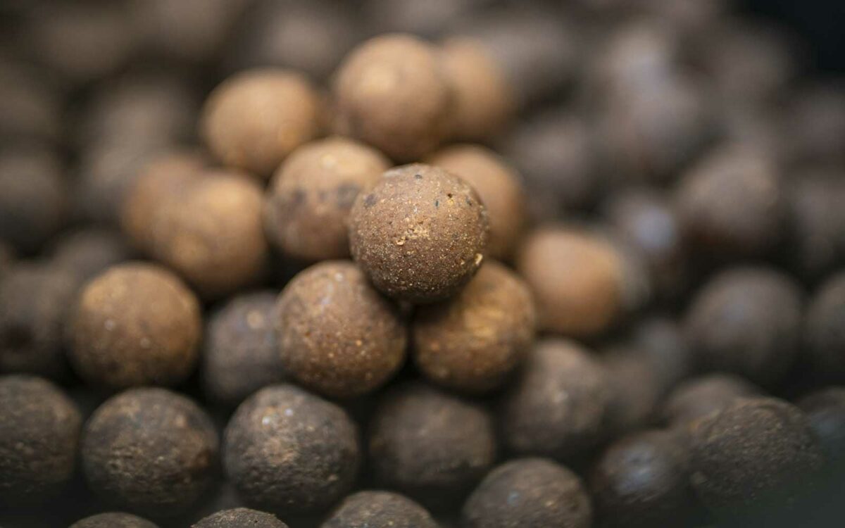 Boile, hookbait mamci i mamci za šarana uspoređeni izravno kod proizvođača na Carp Austria