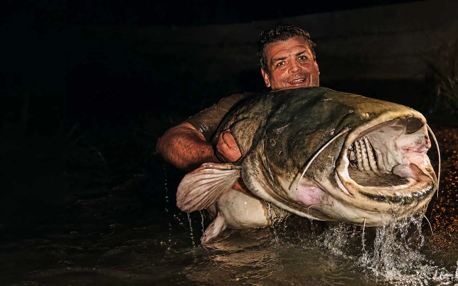 Welsangeln und Raubfischangeln auf der Carp Austria Fischereimesse