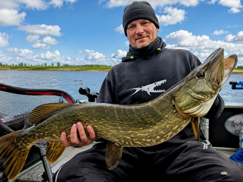 Skeater Fishing Messestand mit Predator Ruten und Ausrüstung für Raubfischangeln auf der Carp Austria Fischerei Messe