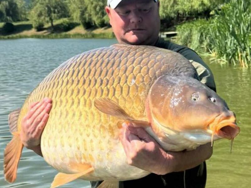 Angler hält Weltrekord Schuppenkarpfen 109 lb aus dem Euro-Aqua See in Balatonederics, Ungarn – größter Common Carp der Welt, Mai 2026