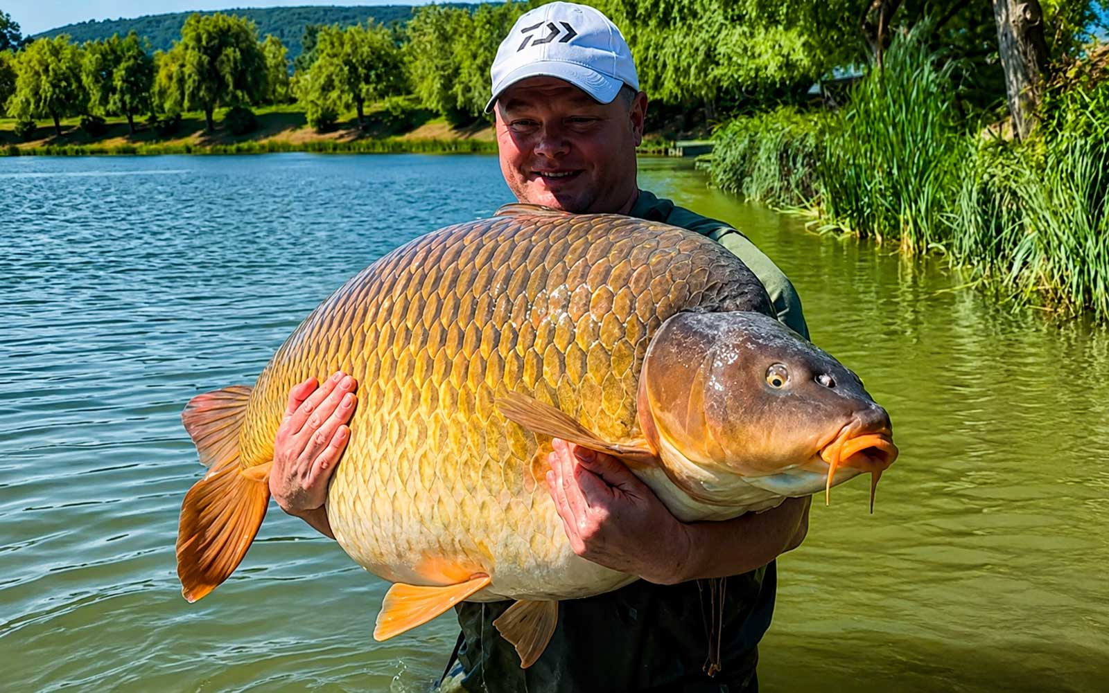 Richard Ince mit gemeldetem 49,5 kg Schuppenkarpfen aus Euro-Aqua Balatonederics in Ungarn