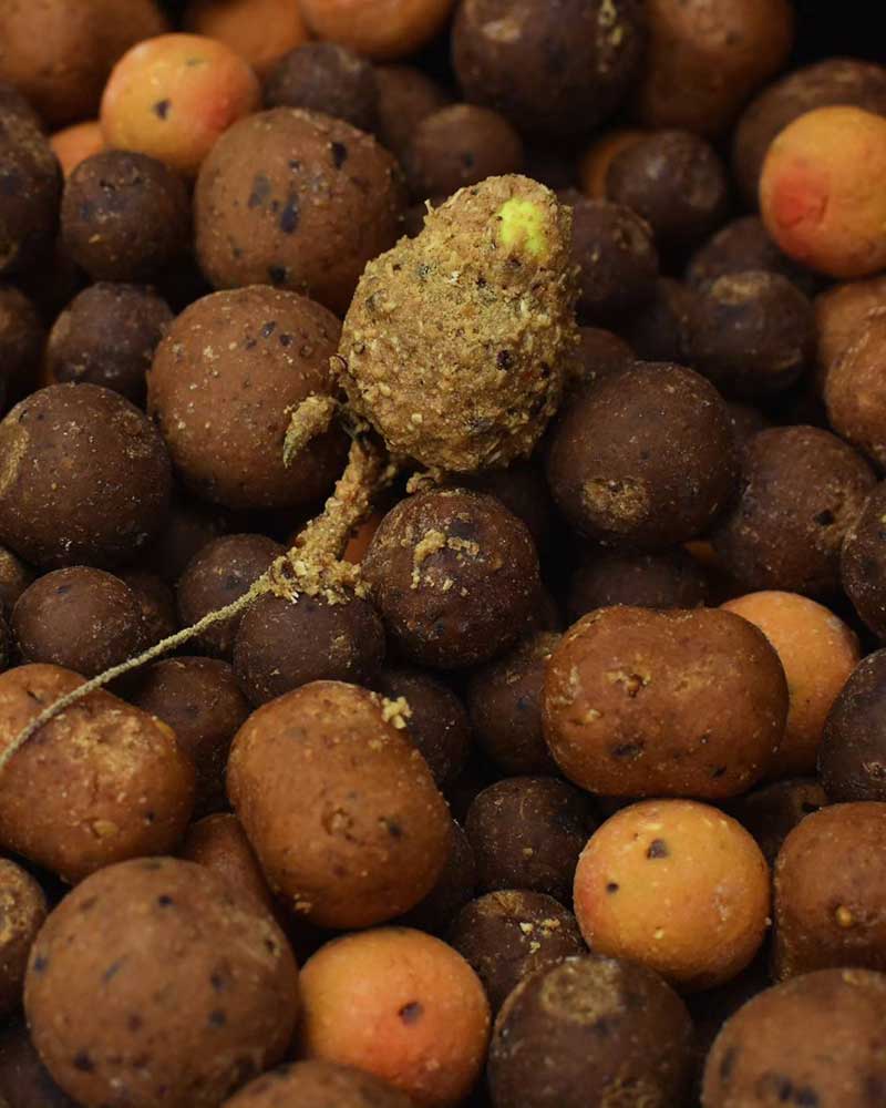 Boilie Hookbait mit natürlichen Extrakten, Palatanten und Lockstoffen zwischen Karpfenködern