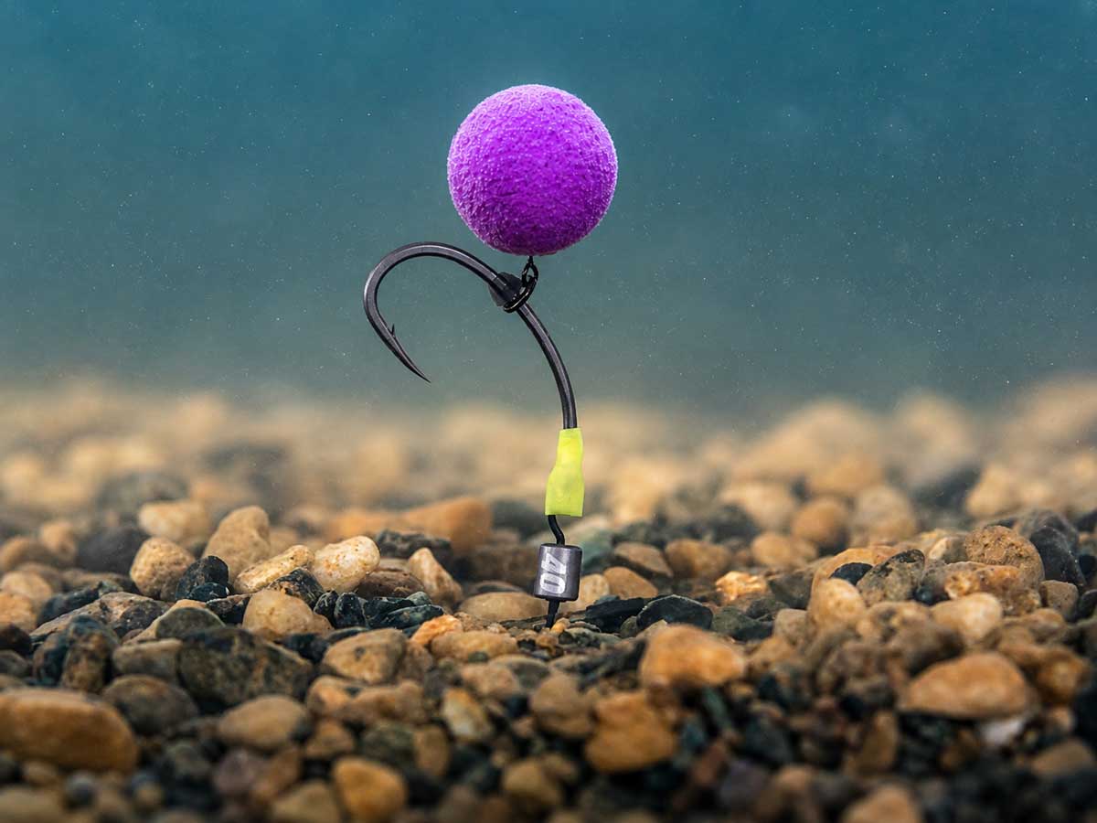 Carp colour vision with UV light and Pop-Up Boilie colours such as pink, yellow, white and chartreuse