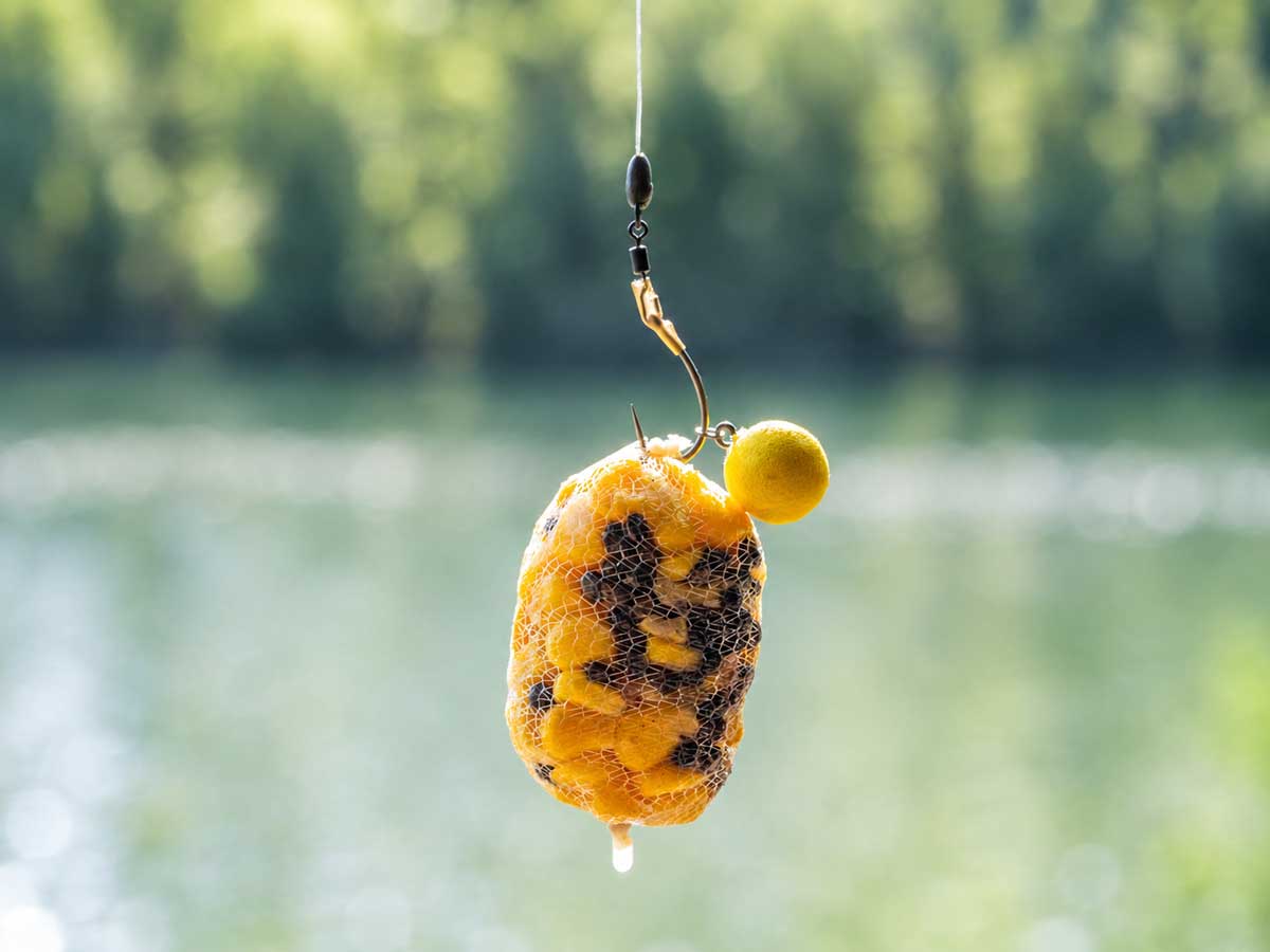 Nash PVA mesh with particle mix and maize next to a carp rig for precise feeding