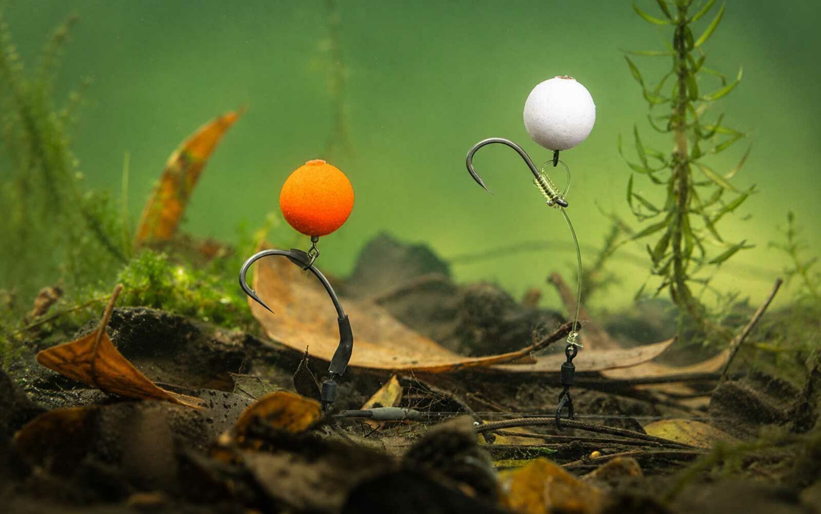 Pop-Up Boilies UV-aktiv für Karpfen mit Spinner Rig und Chod Rig Montagen