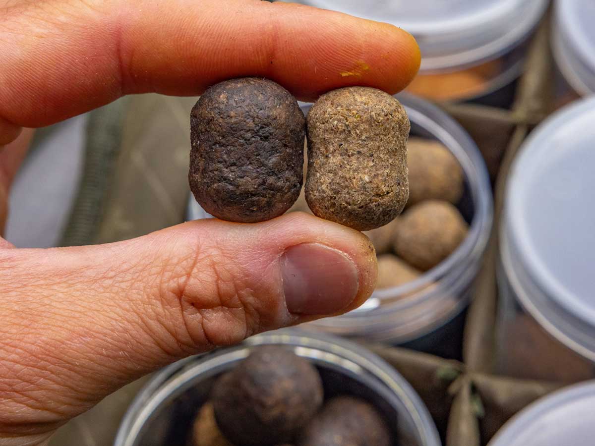 NVIBE Impact Dumbells als längliche Alternative zu runden Boilies