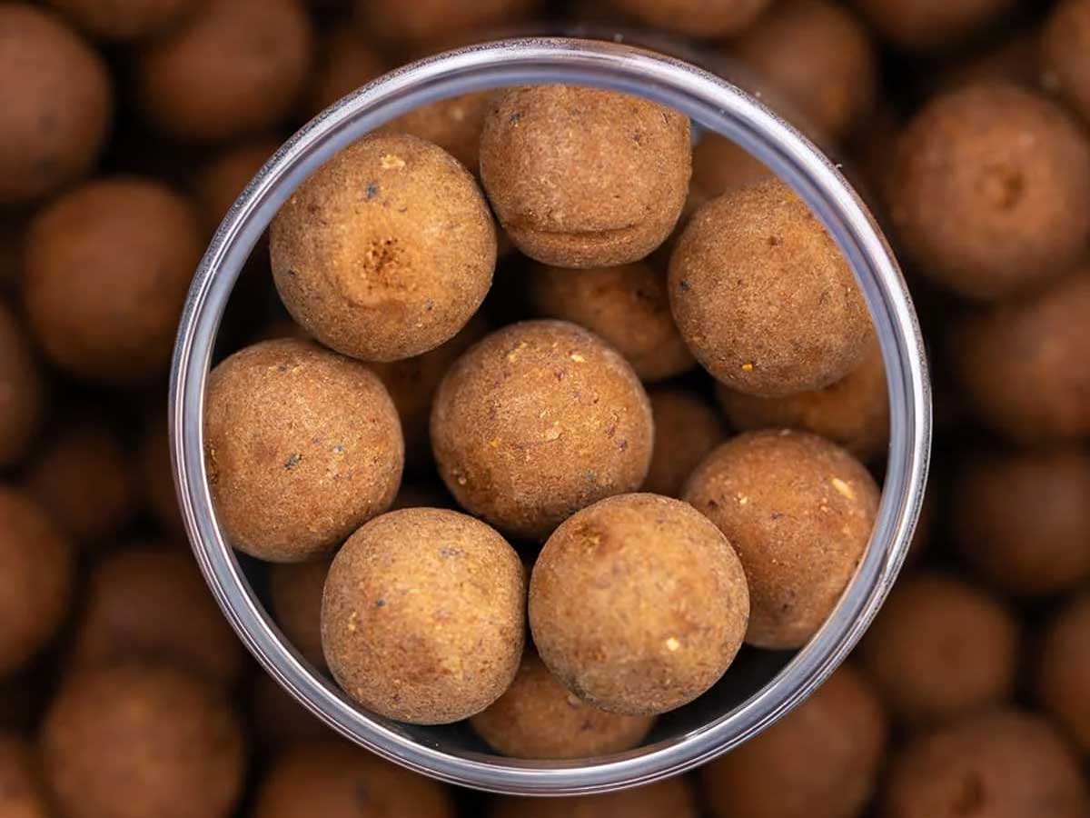 NVIBE Impact Hookbaits als härtere Hakenköder für Karpfen