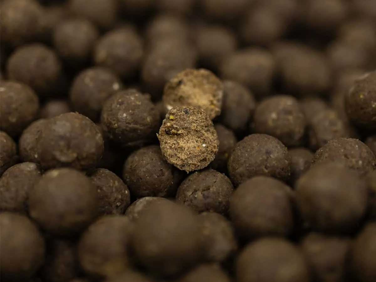NVIBE Impact Shrimp Boilies mit Sardine, Garnelen und hydrolysierten Proteinen