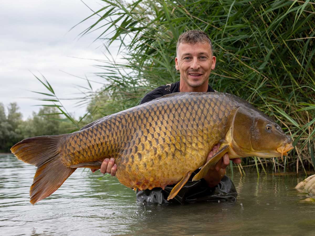 Franz Rettenbacher mit über 30 kg schwerem Karpfen im NVIBE Baits Umfeld