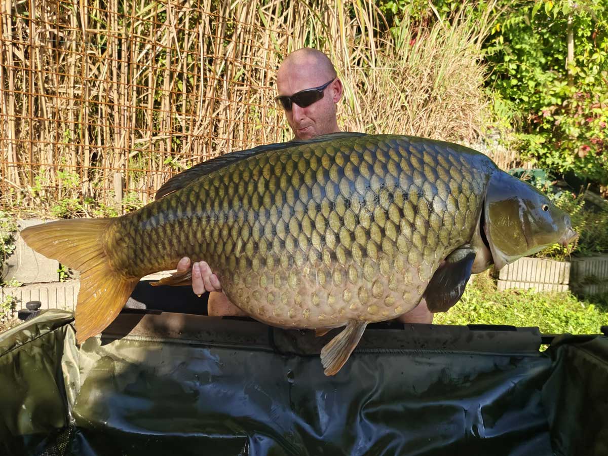 Karpfenangler mit großem Karpfen als Praxisbild zum Thema Boilies und Karpfenköder