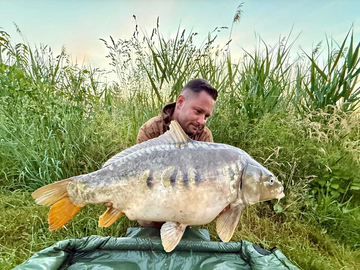 Karpfenangler mit großem Karpfen im M’NATURA-Baits Markenprofil