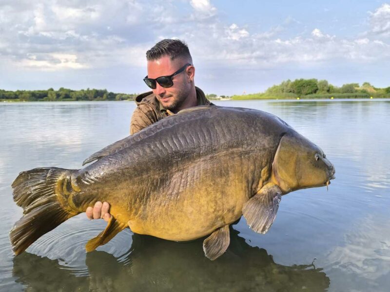 Karpfenangler mit großem Spiegelkarpfen im M’NATURA-Baits Markenprofil