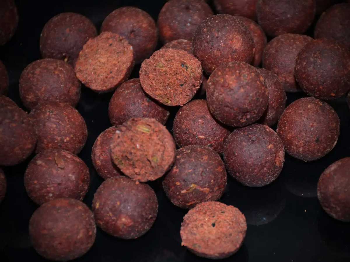 Aufgeschnittene M’NATURA-Baits Boilies mit sichtbarer Köderstruktur