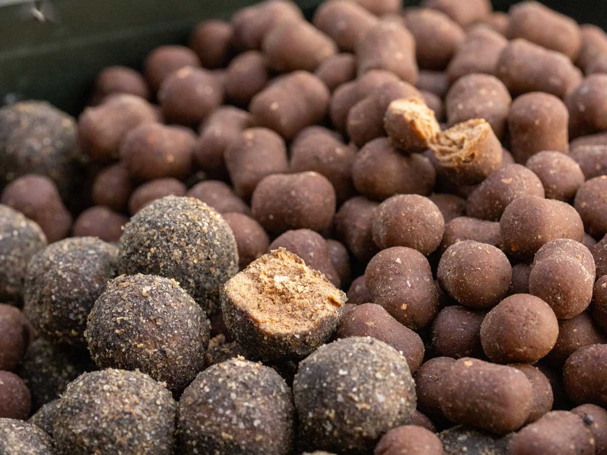 NVIBE Boilies mit Fokus auf Rezeptur, Rohstoffe und Köderstruktur