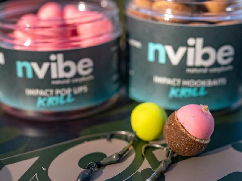 NVIBE Köder Range mit Boilies, Waftern, Pop-Ups und Hookbaits