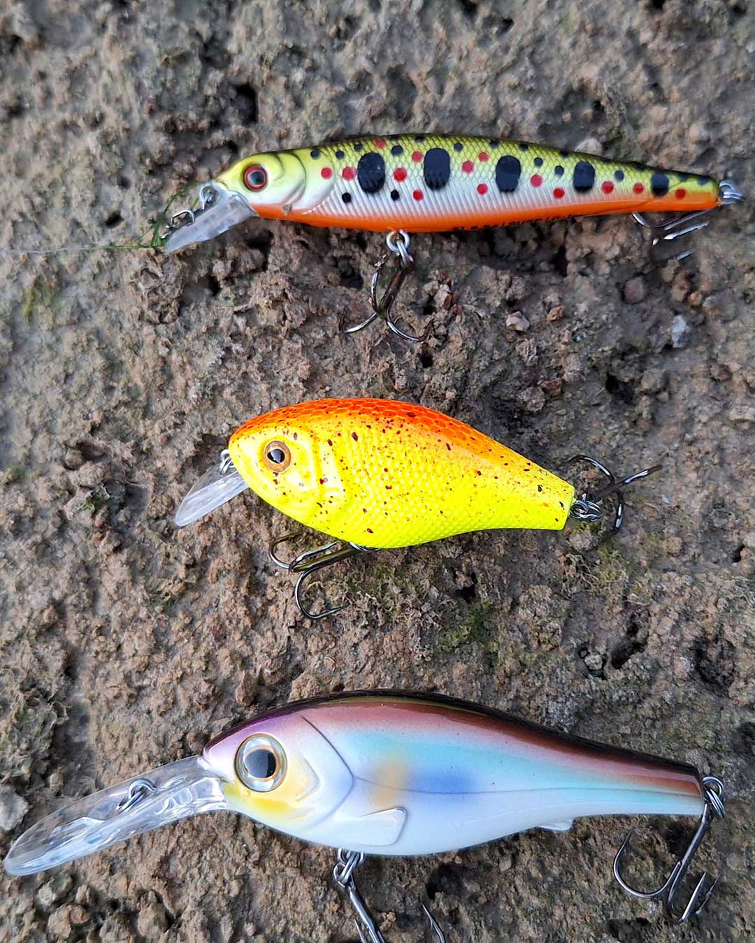 Delphin WOBBY Hartköder Sortiment mit Crankbaits, Jerkbaits, Poppern und Pencil Baits