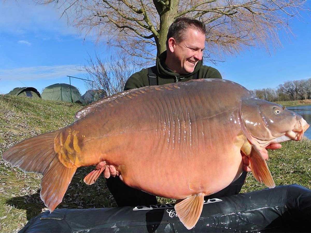 Frank Schmidt mit dem Spiegelkarpfen Uno am Euro Aqua in Ungarn bei rund 41 Kilogramm