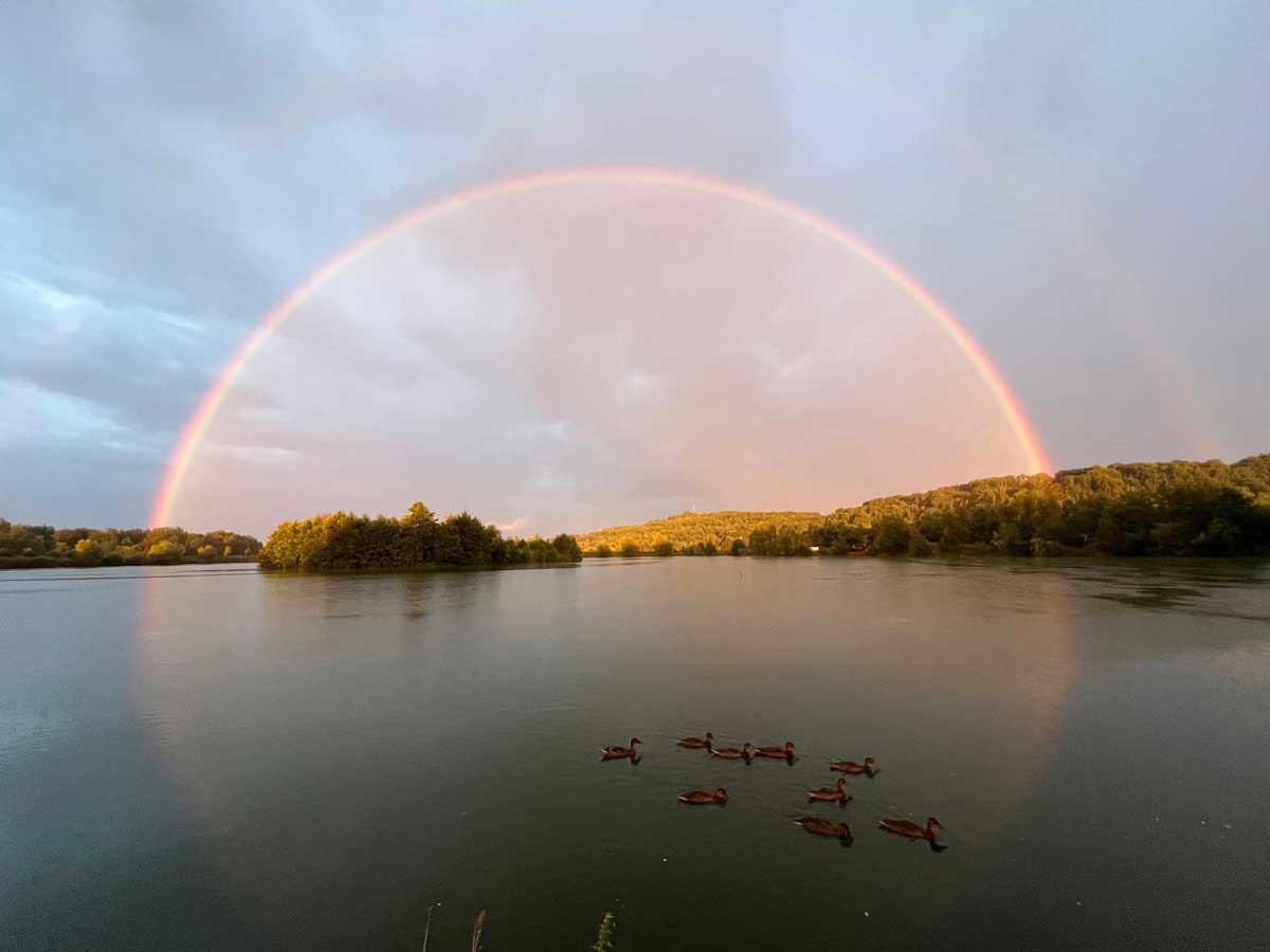 Gold Lake bei Fürstenfeld als Angelgewässer in der Oststeiermark