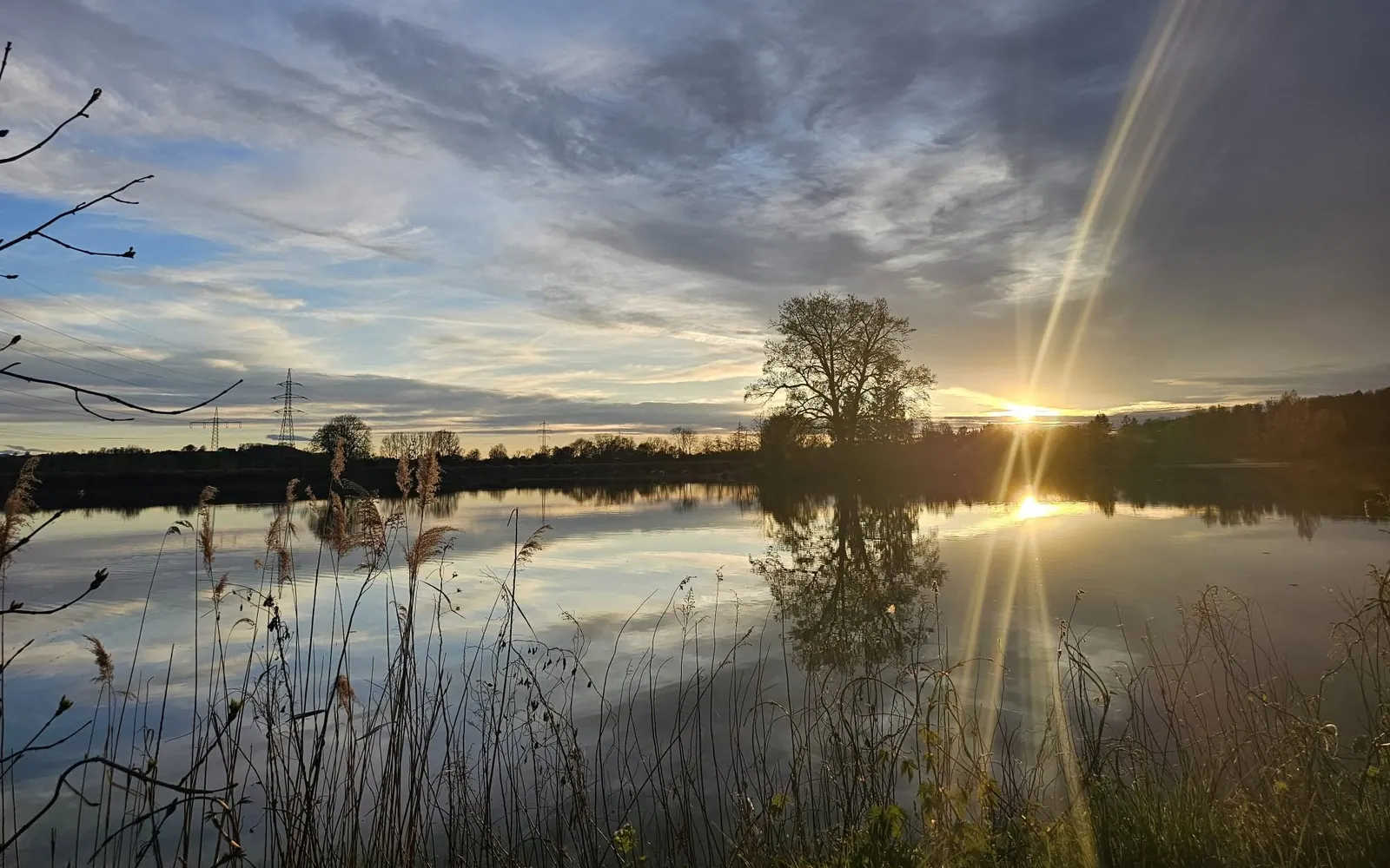 Karpfenteich Atlantis in Niederösterreich bei Sonnenuntergang mit Baum und Schilf am Ufer