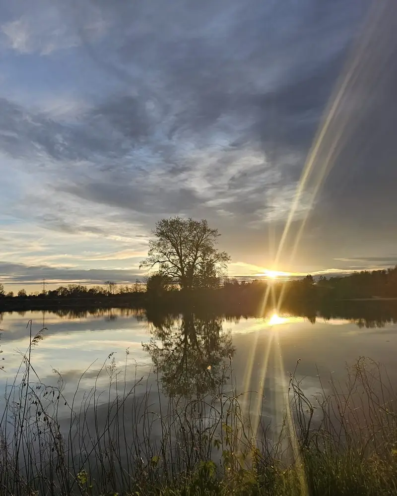 Sonnenuntergang am Karpfenteich Atlantis in Niederösterreich