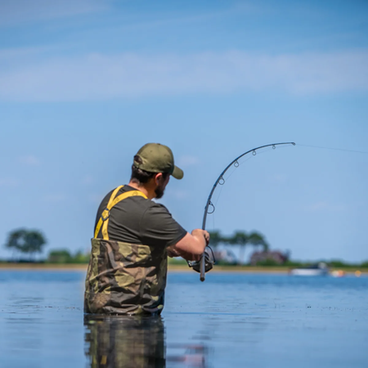 Angler im Wasser mit gebogener Karpfenrute beim Drill