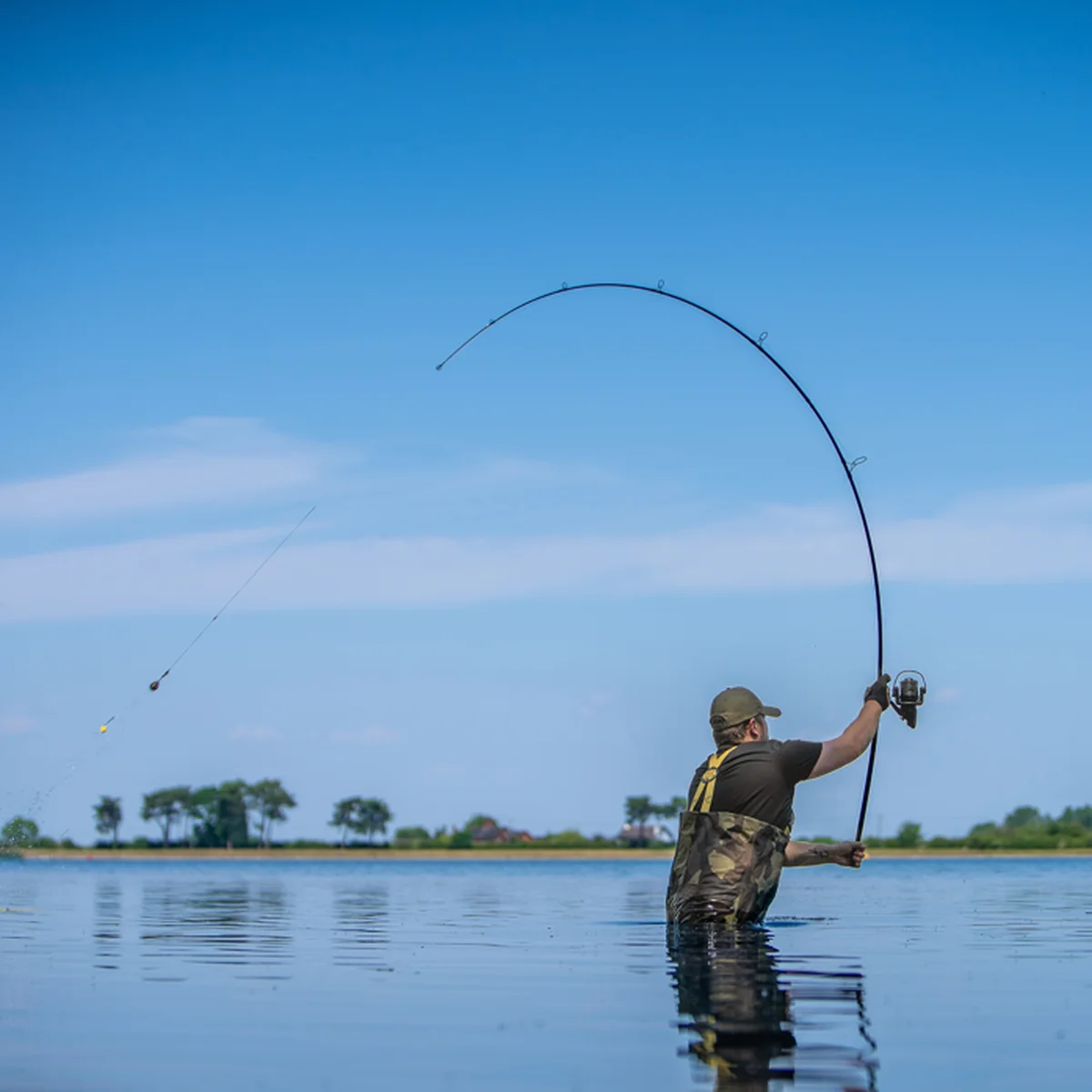 Angler steht im Wasser und wirft mit einer stark gebogenen Avid-Carp-Revolve-Rute