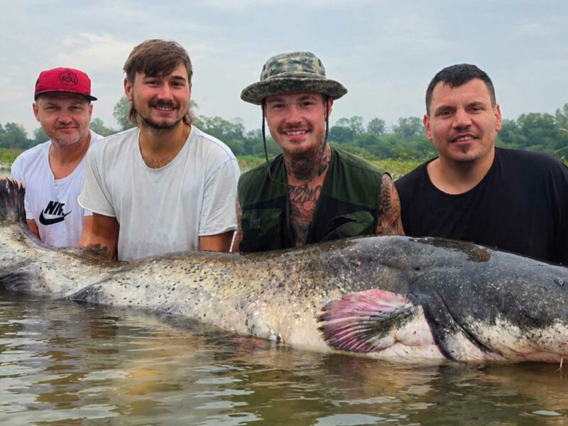 Catfanatika team and guests with a big catfish from the Po near Cremona