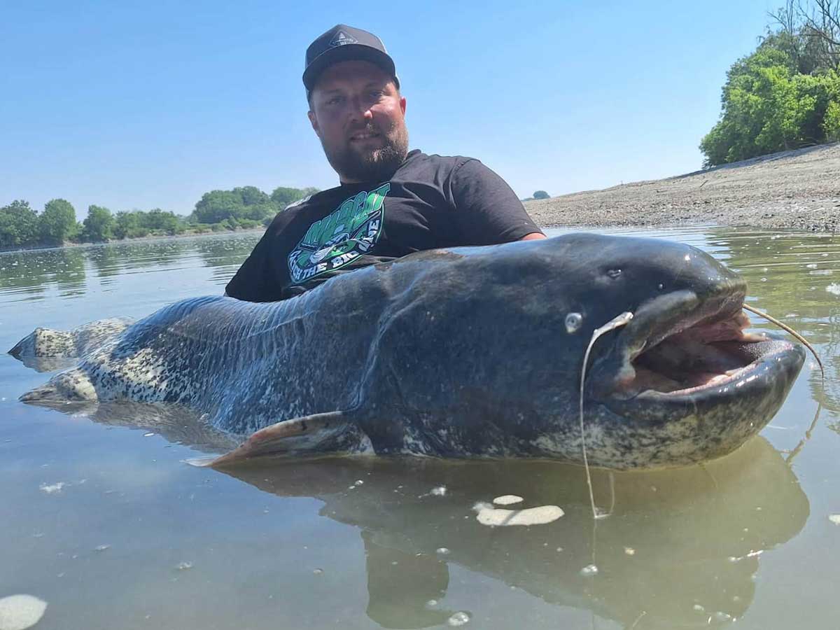 Angler mit großem Wels im Po bei Cremona